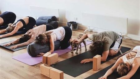 Yoga ve Pilates Hangisi Size Uygun?