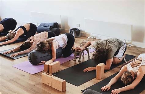 "Yoga ve Pilates: Hangisi Size Uygun?"