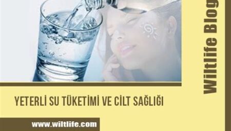 Su Tüketimi ve Cilt Sağlığı